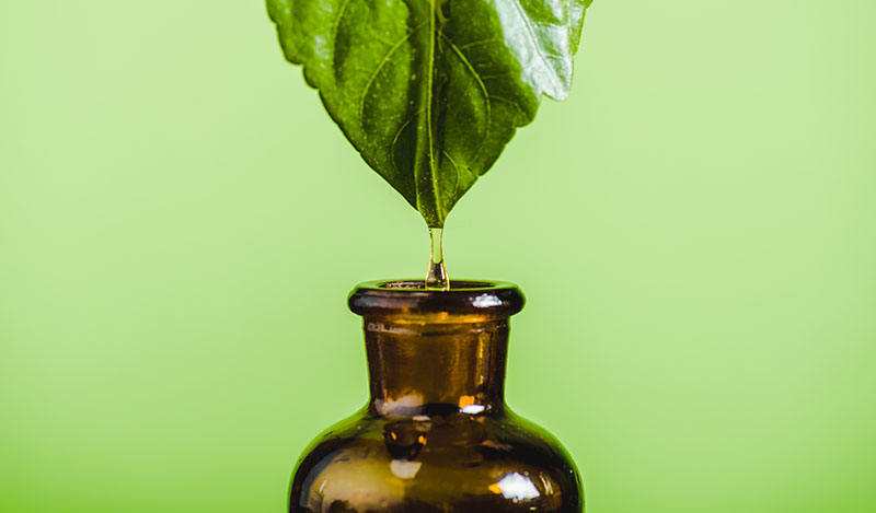 היתרונות של טיפולי הומאופתיה